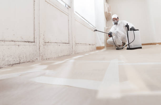 24/7 Emergency Mold Cleanup experts in Portsmouth, VA