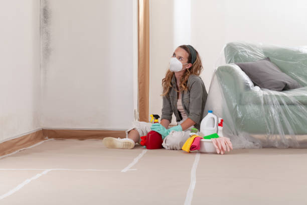 Reliable Mold Cleanup contractor in Portsmouth, VA by Cheap Mold Removal